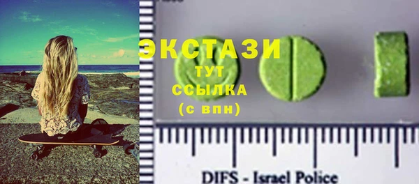 шишки Гусиноозёрск