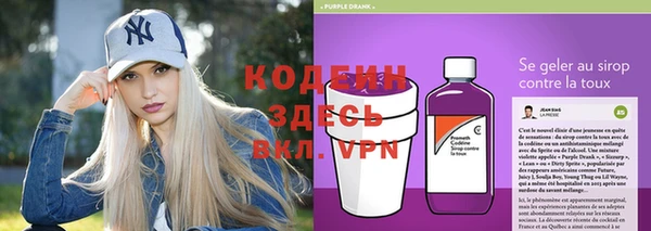 мдпв Горно-Алтайск