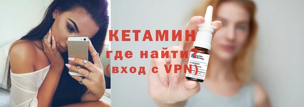 шишки Гусиноозёрск