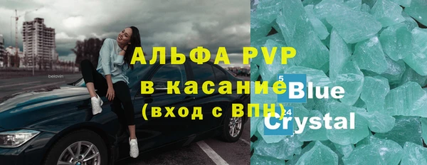 шишки Гусиноозёрск