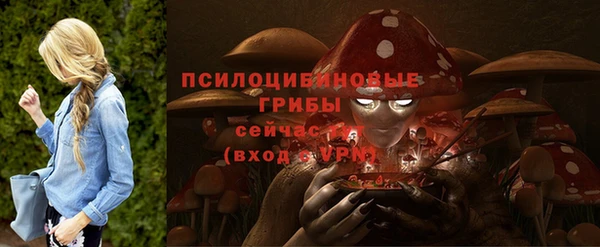 СК Гусев