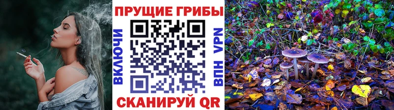 Галлюциногенные грибы Cubensis  Купить закладки  Комсомольск 